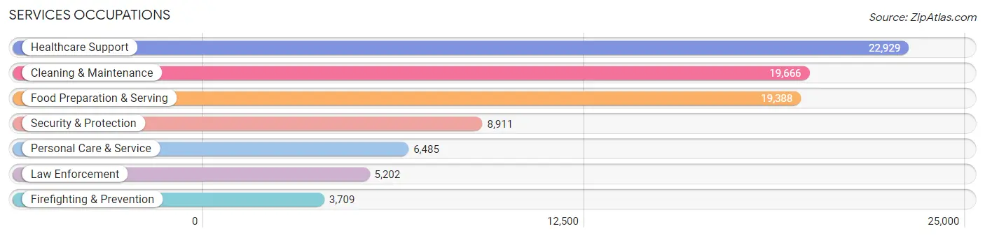 Services Occupations in Hidalgo County