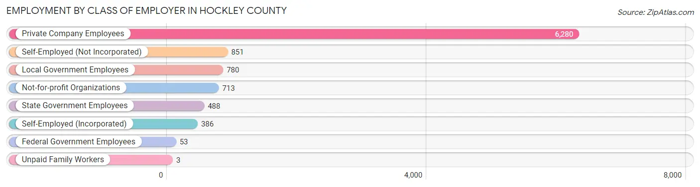Employment by Class of Employer in Hockley County