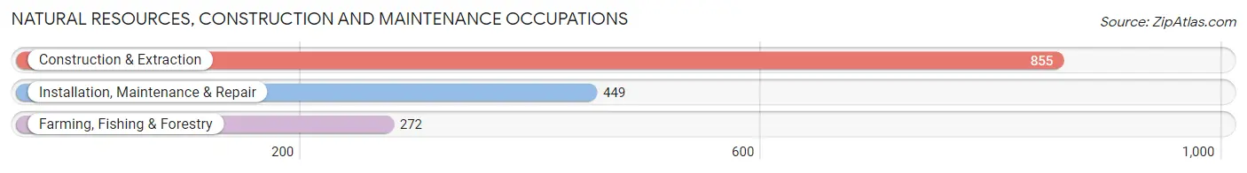 Natural Resources, Construction and Maintenance Occupations in Hockley County