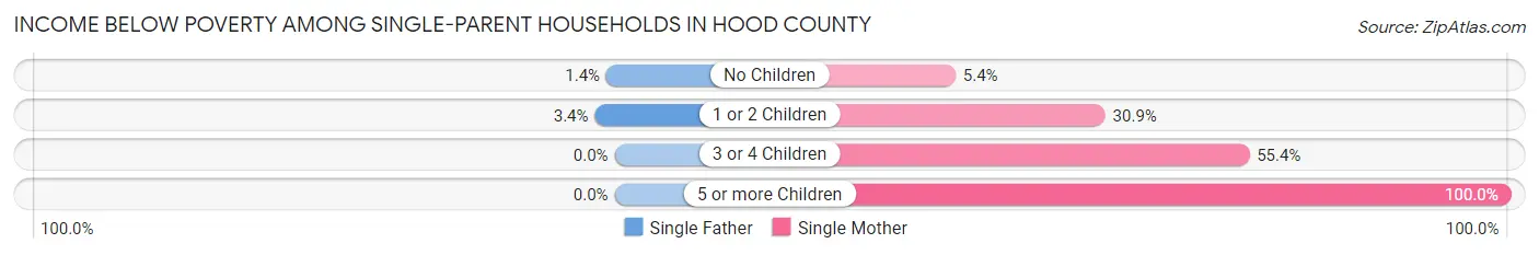 Income Below Poverty Among Single-Parent Households in Hood County