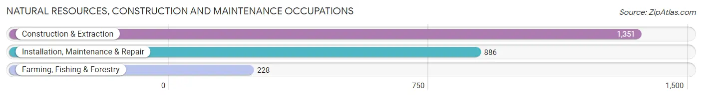 Natural Resources, Construction and Maintenance Occupations in Hopkins County
