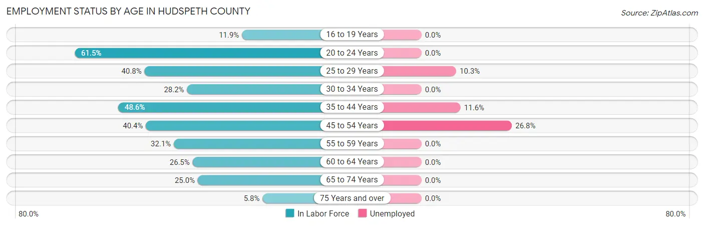 Employment Status by Age in Hudspeth County