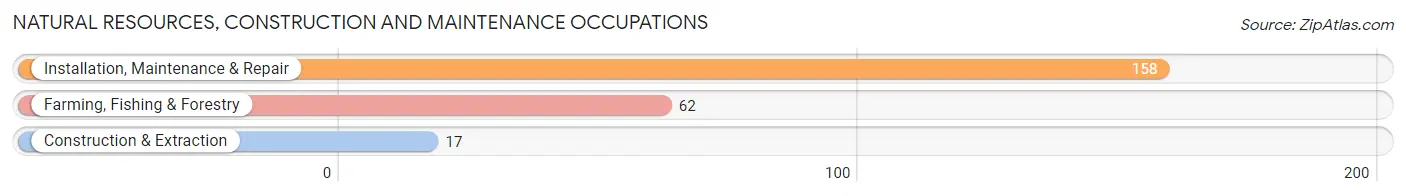 Natural Resources, Construction and Maintenance Occupations in Hudspeth County