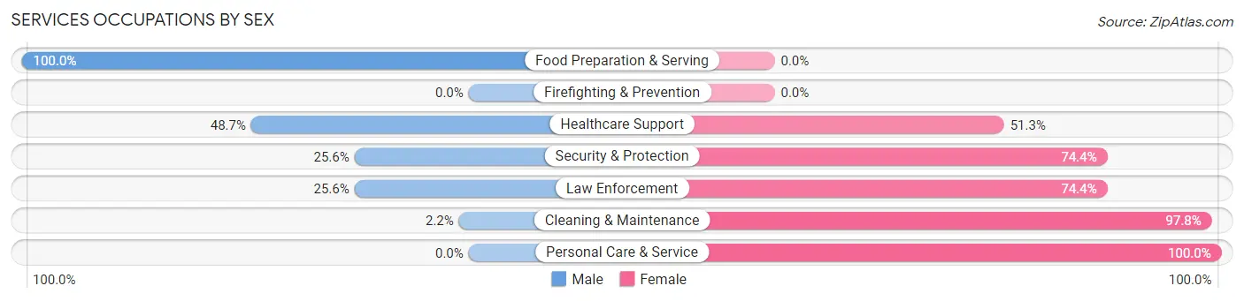 Services Occupations by Sex in Hudspeth County