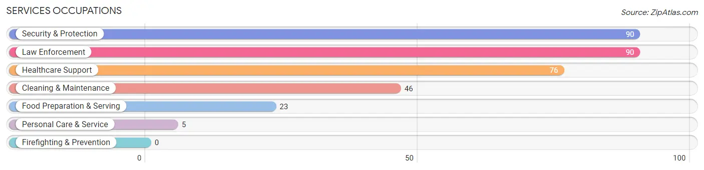 Services Occupations in Hudspeth County