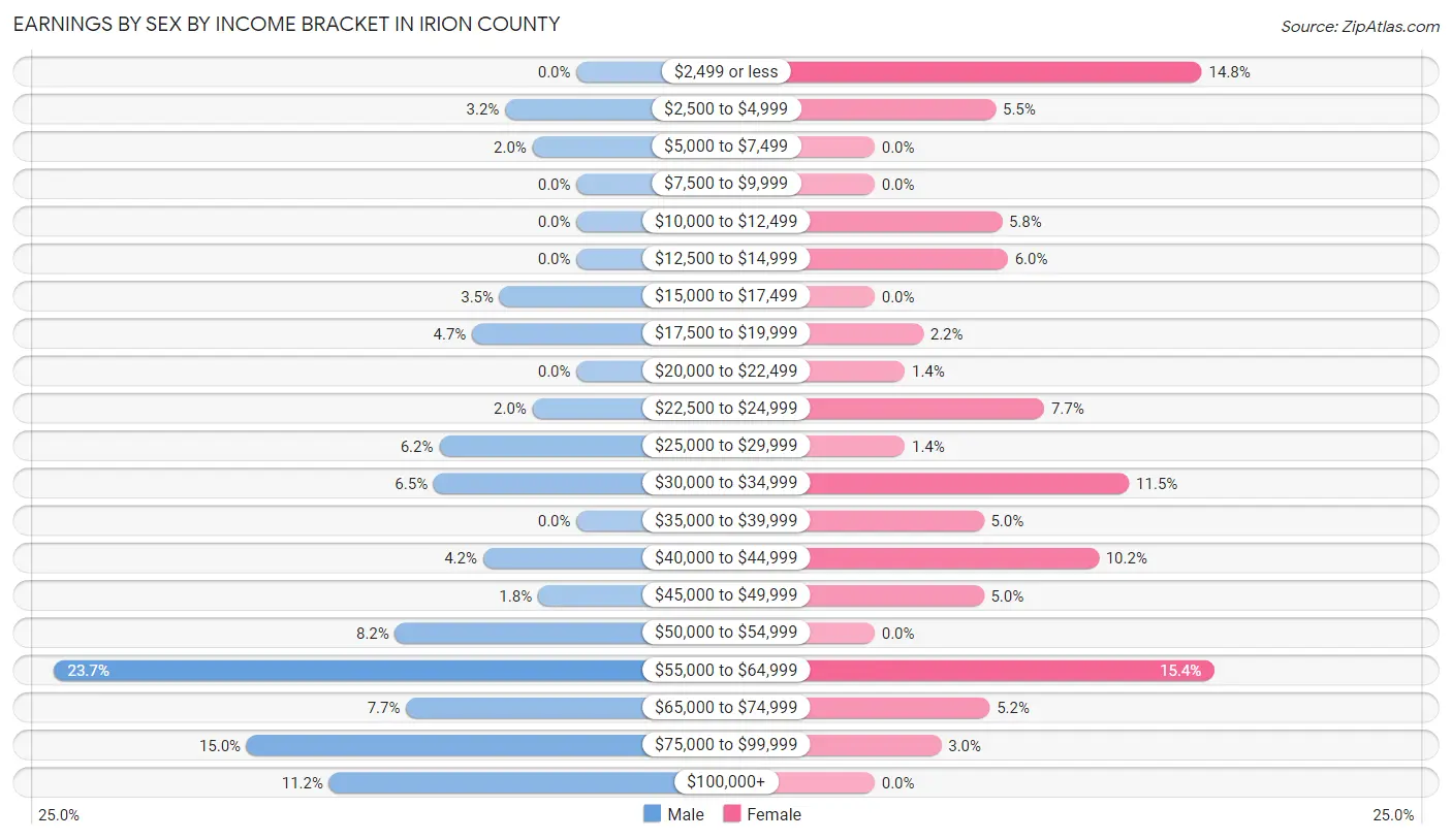 Earnings by Sex by Income Bracket in Irion County