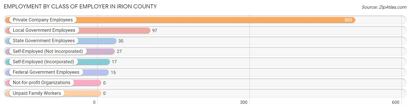 Employment by Class of Employer in Irion County