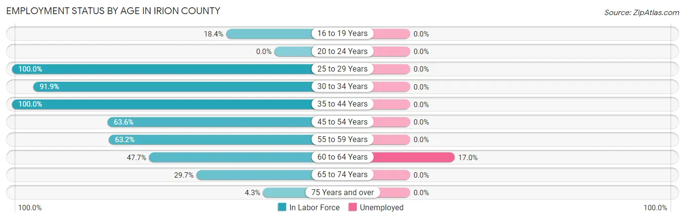 Employment Status by Age in Irion County