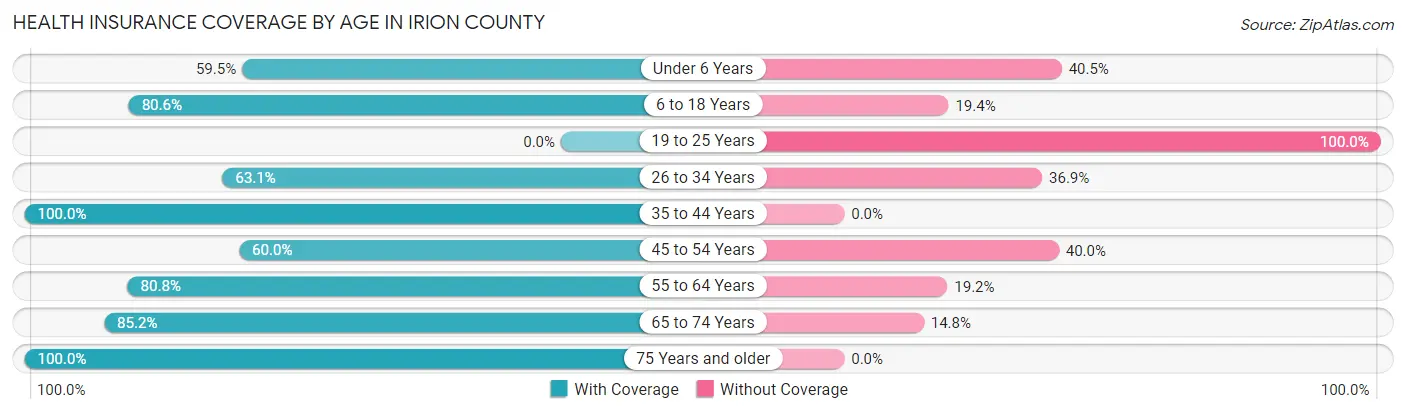 Health Insurance Coverage by Age in Irion County
