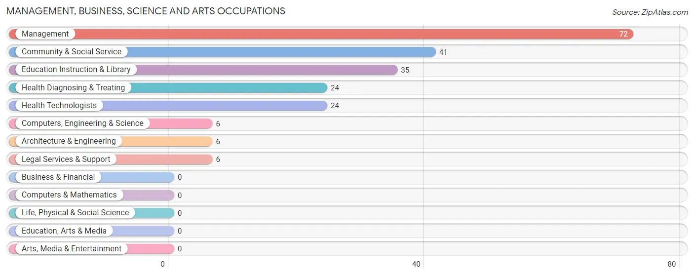 Management, Business, Science and Arts Occupations in Irion County