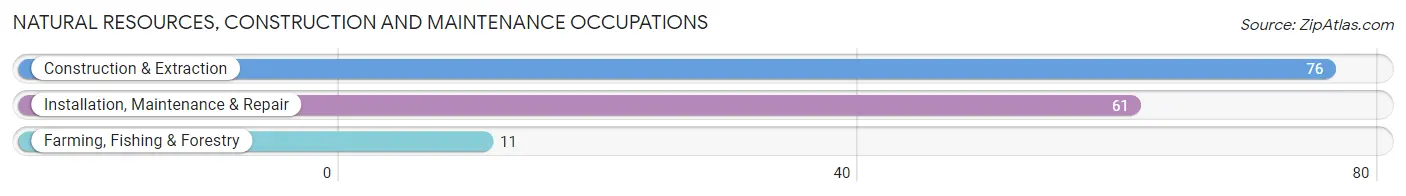 Natural Resources, Construction and Maintenance Occupations in Irion County