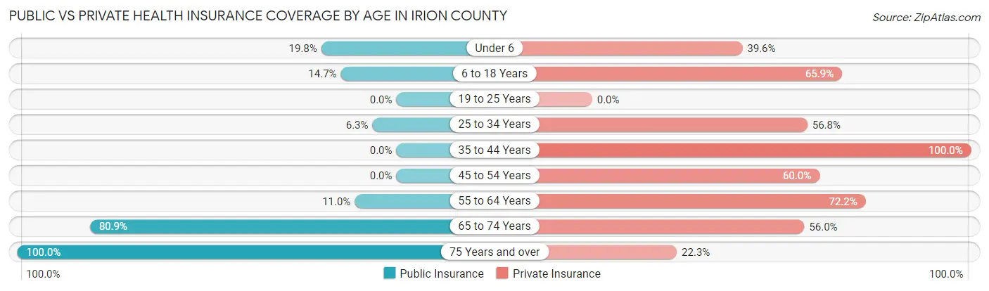 Public vs Private Health Insurance Coverage by Age in Irion County