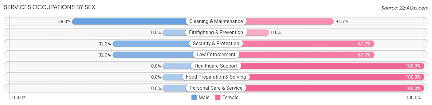 Services Occupations by Sex in Irion County