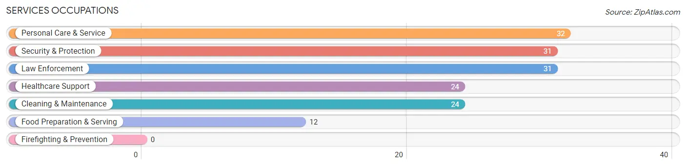 Services Occupations in Irion County
