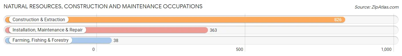 Natural Resources, Construction and Maintenance Occupations in Jackson County