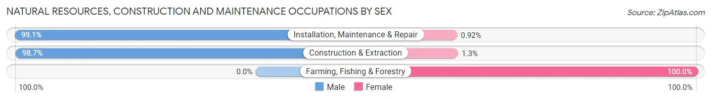 Natural Resources, Construction and Maintenance Occupations by Sex in Jasper County