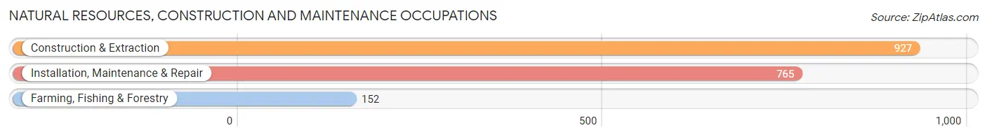 Natural Resources, Construction and Maintenance Occupations in Jasper County