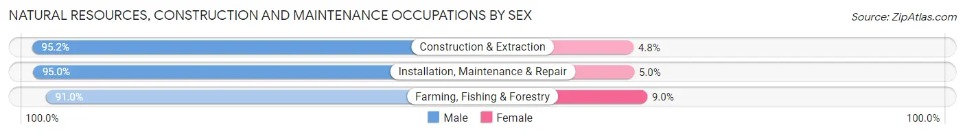 Natural Resources, Construction and Maintenance Occupations by Sex in Johnson County