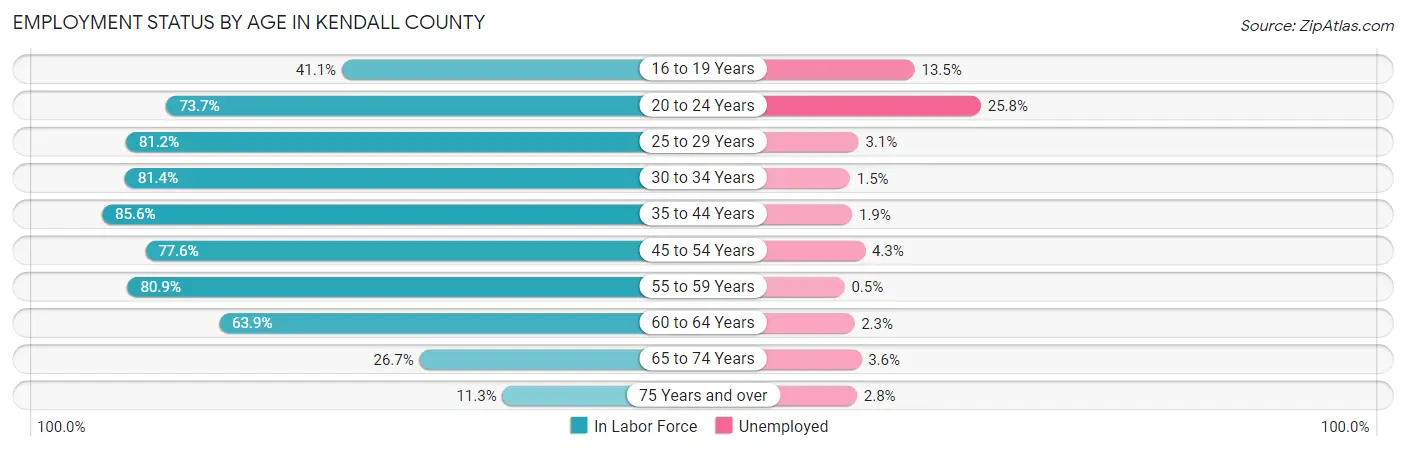 Employment Status by Age in Kendall County