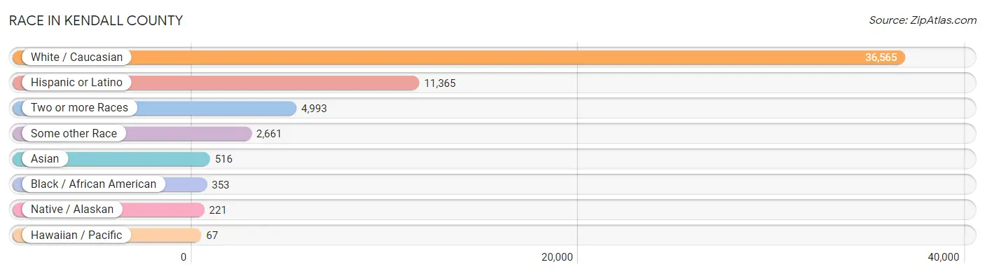 Race in Kendall County