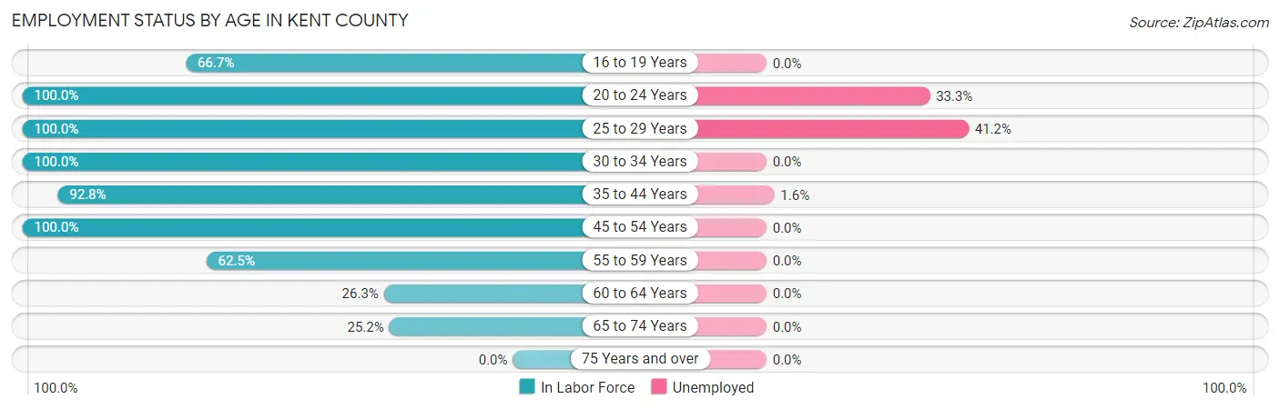 Employment Status by Age in Kent County