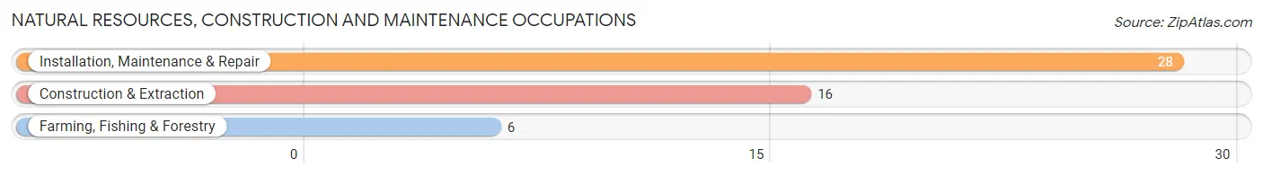 Natural Resources, Construction and Maintenance Occupations in Kent County