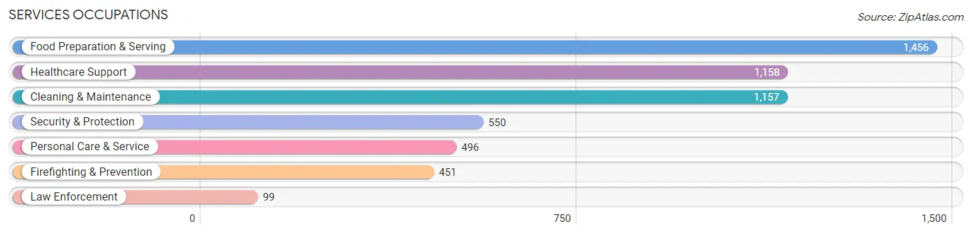 Services Occupations in Kerr County
