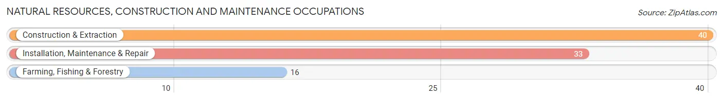 Natural Resources, Construction and Maintenance Occupations in Kinney County