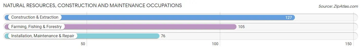 Natural Resources, Construction and Maintenance Occupations in Knox County