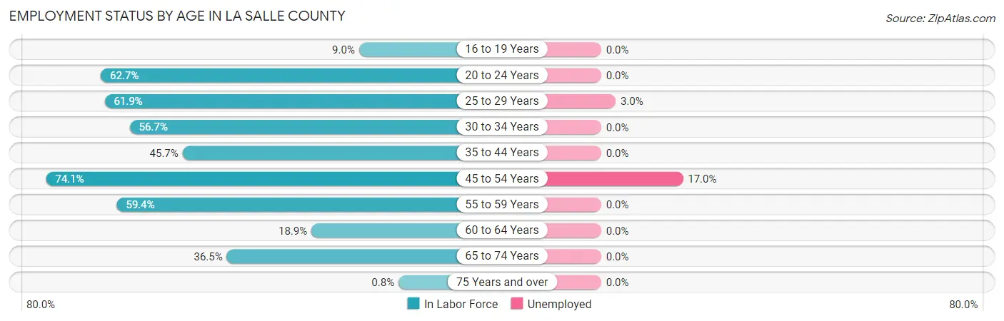 Employment Status by Age in La Salle County