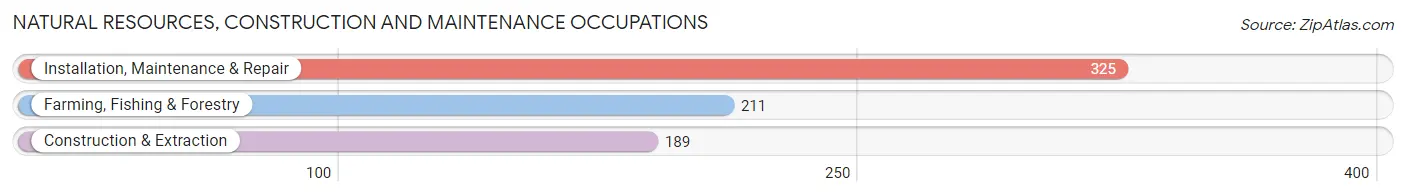 Natural Resources, Construction and Maintenance Occupations in La Salle County