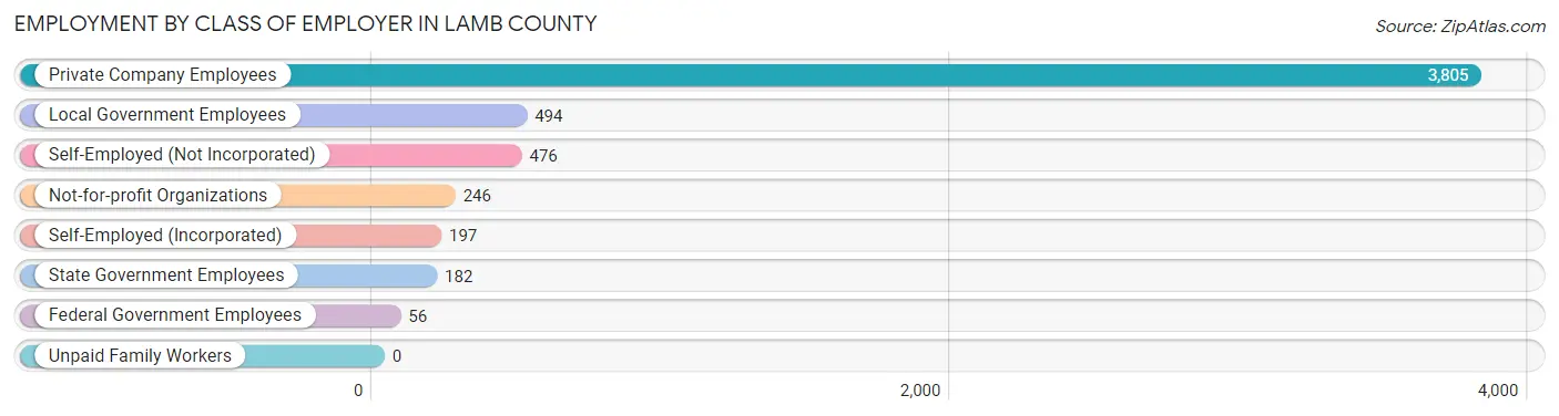 Employment by Class of Employer in Lamb County