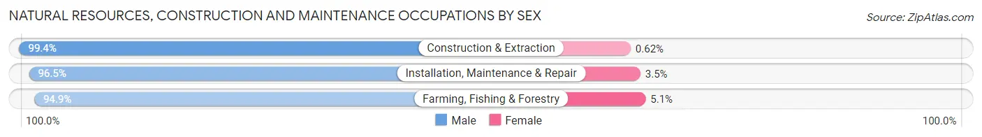 Natural Resources, Construction and Maintenance Occupations by Sex in Lamb County