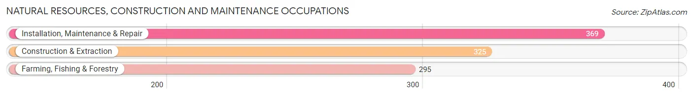 Natural Resources, Construction and Maintenance Occupations in Lamb County