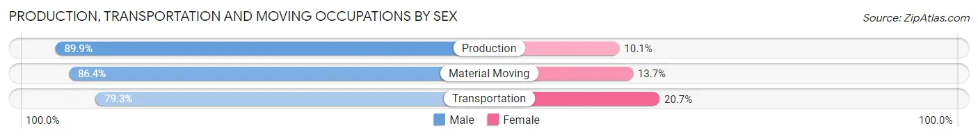 Production, Transportation and Moving Occupations by Sex in Lamb County