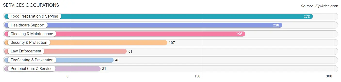 Services Occupations in Lamb County