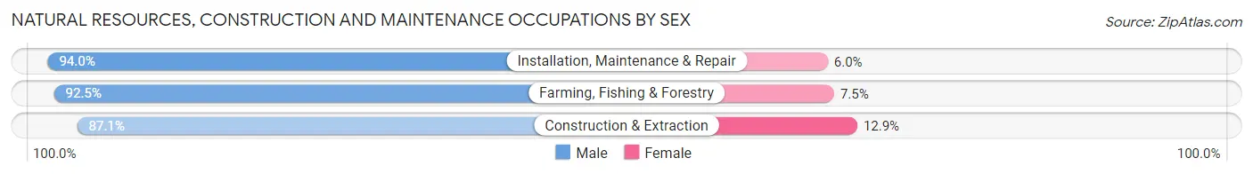 Natural Resources, Construction and Maintenance Occupations by Sex in Lee County