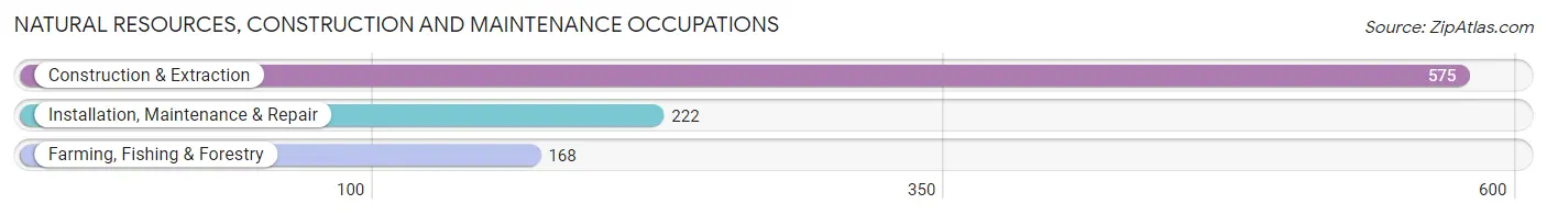 Natural Resources, Construction and Maintenance Occupations in Leon County