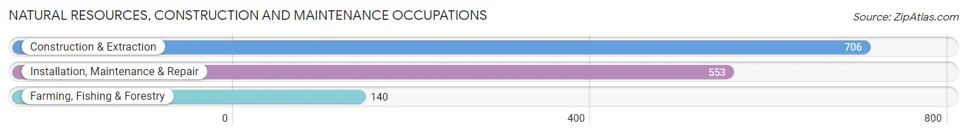 Natural Resources, Construction and Maintenance Occupations in Limestone County