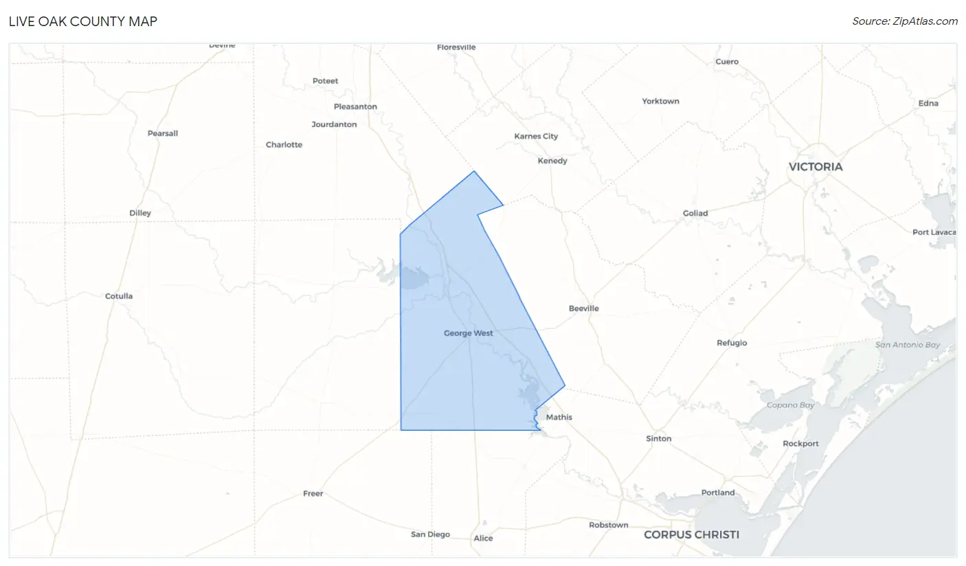 Live Oak County Map
