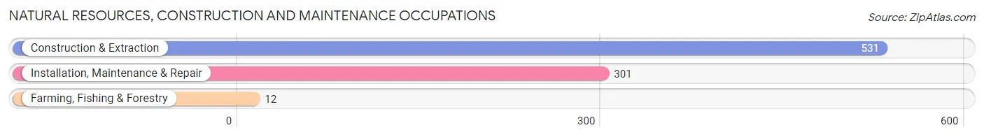 Natural Resources, Construction and Maintenance Occupations in Live Oak County