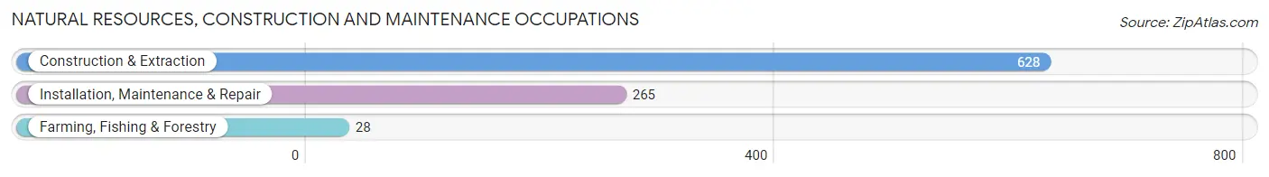 Natural Resources, Construction and Maintenance Occupations in Llano County