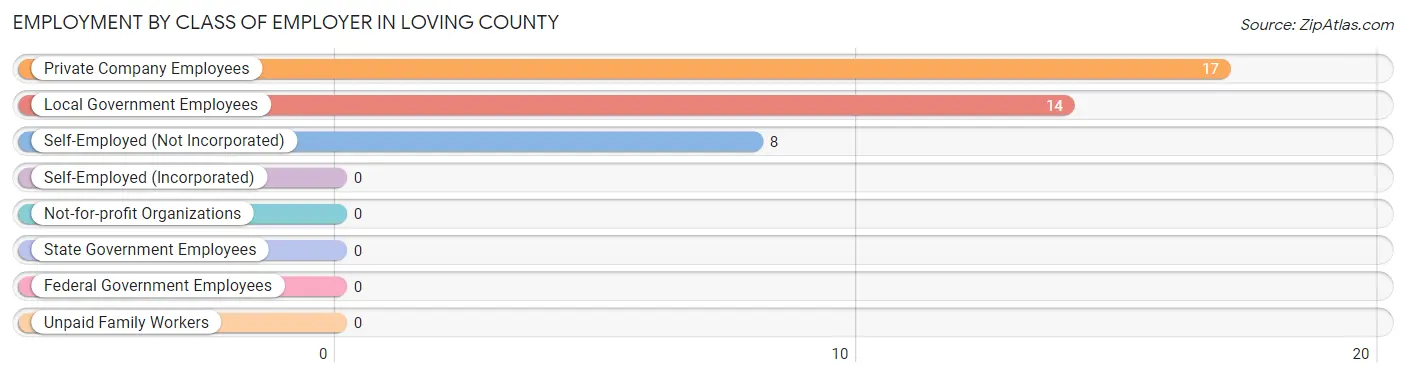 Employment by Class of Employer in Loving County