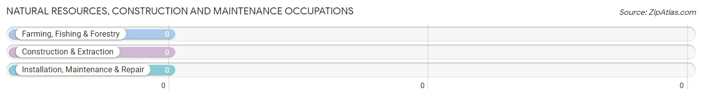 Natural Resources, Construction and Maintenance Occupations in Loving County