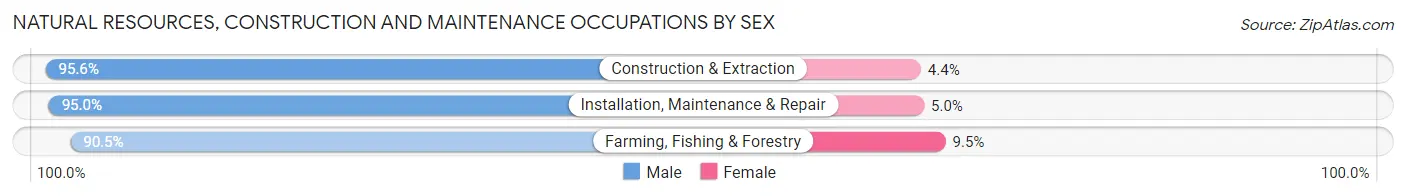Natural Resources, Construction and Maintenance Occupations by Sex in Lubbock County