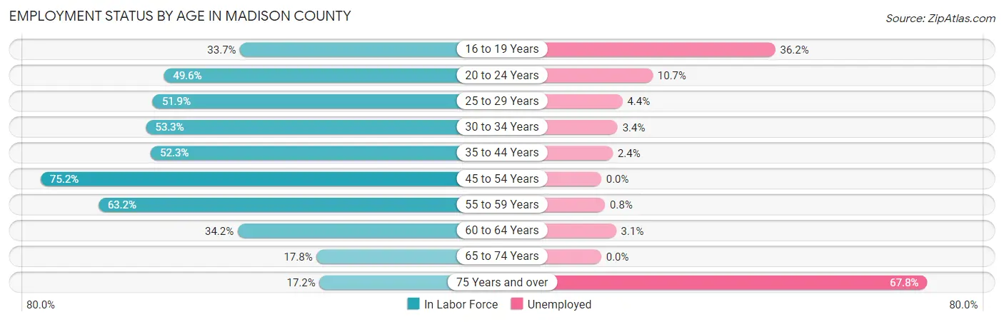 Employment Status by Age in Madison County