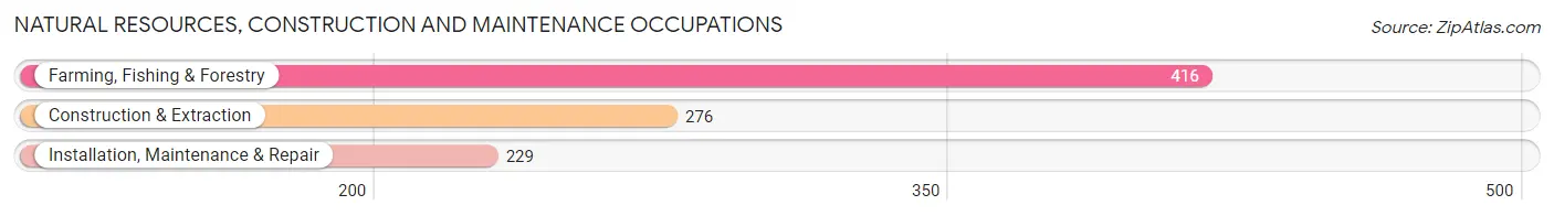 Natural Resources, Construction and Maintenance Occupations in Madison County
