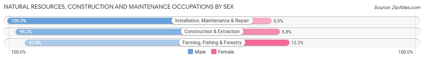 Natural Resources, Construction and Maintenance Occupations by Sex in Martin County