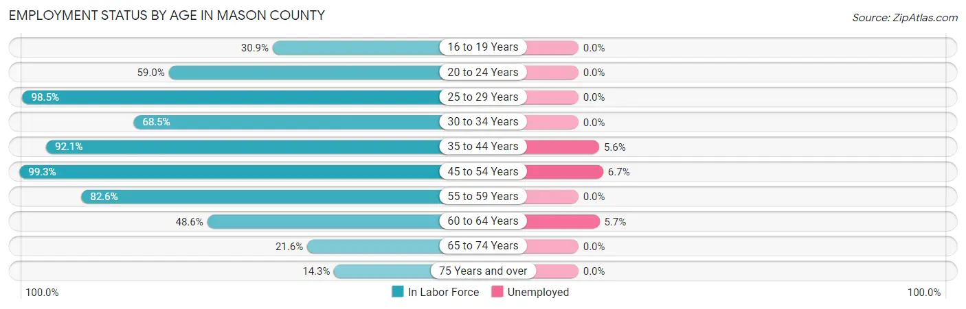 Employment Status by Age in Mason County