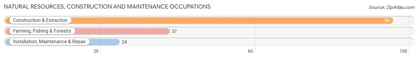 Natural Resources, Construction and Maintenance Occupations in Mason County
